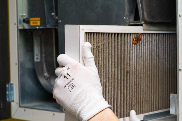 Best Air Duct Cleaning Near Me  in Gorman, TX
